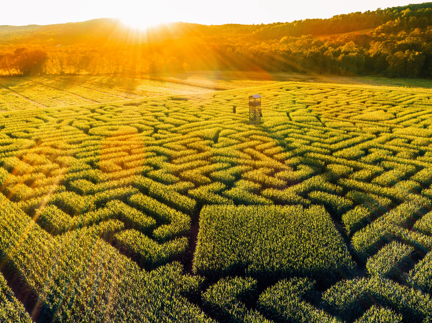 DBi-The-Awkward-Problem-with-Managed-Futures-ETFs